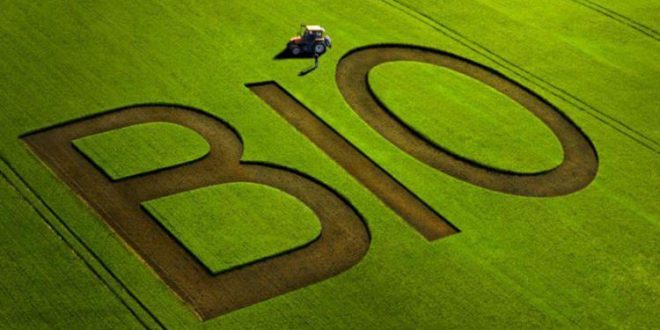 blog-image